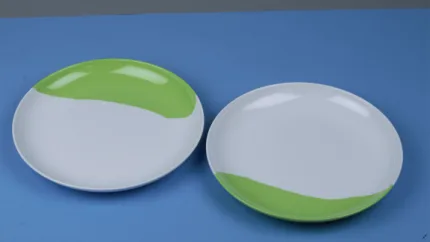 Round Plate Two Tone Green & White (SF2) 1