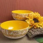 2pcs Set Serving Bowl 7inch Golden Meadow